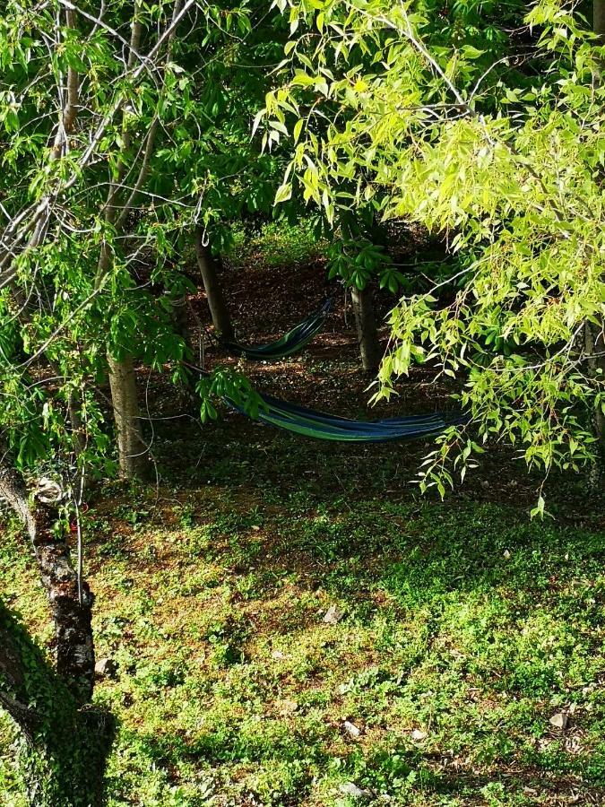 Agriturismo Il Noceto Villa อัสซิซี ภายนอก รูปภาพ
