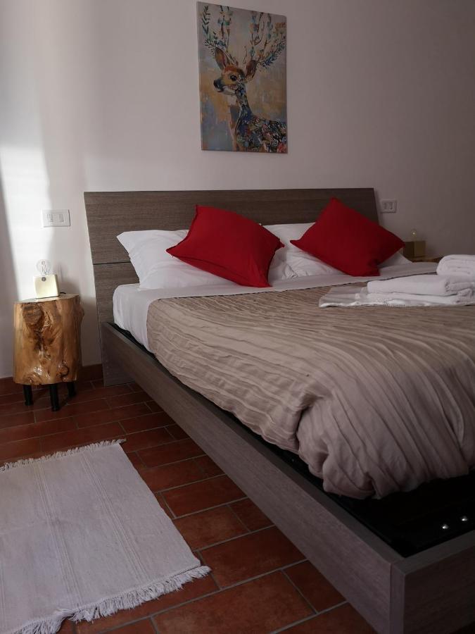 Agriturismo Il Noceto Villa อัสซิซี ภายนอก รูปภาพ