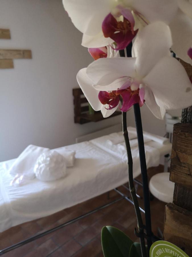 Agriturismo Il Noceto Villa อัสซิซี ภายนอก รูปภาพ